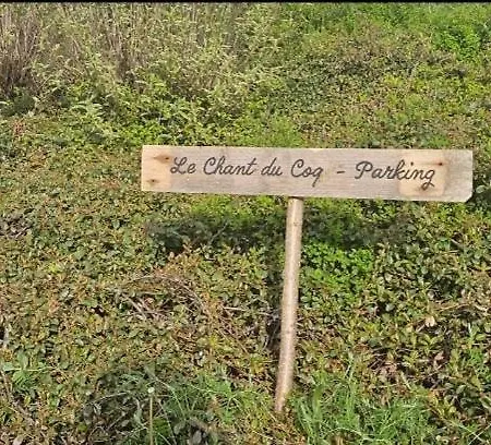 Le Chant Du Coq * Chassepierre