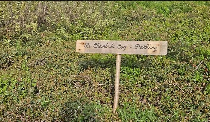 Le Chant Du Coq * Chassepierre